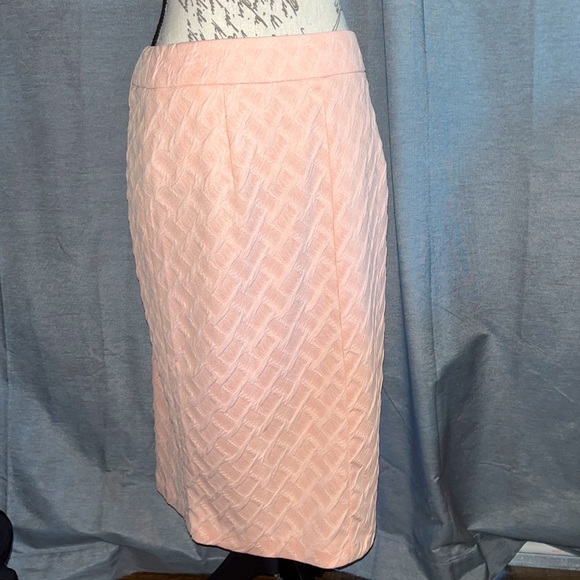 Cato - Picture 4 of 8